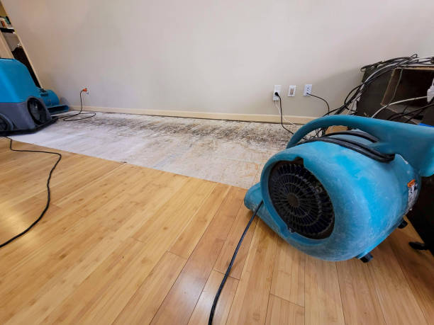 Professional Sewage Cleanup technician working in Bethpage, TN